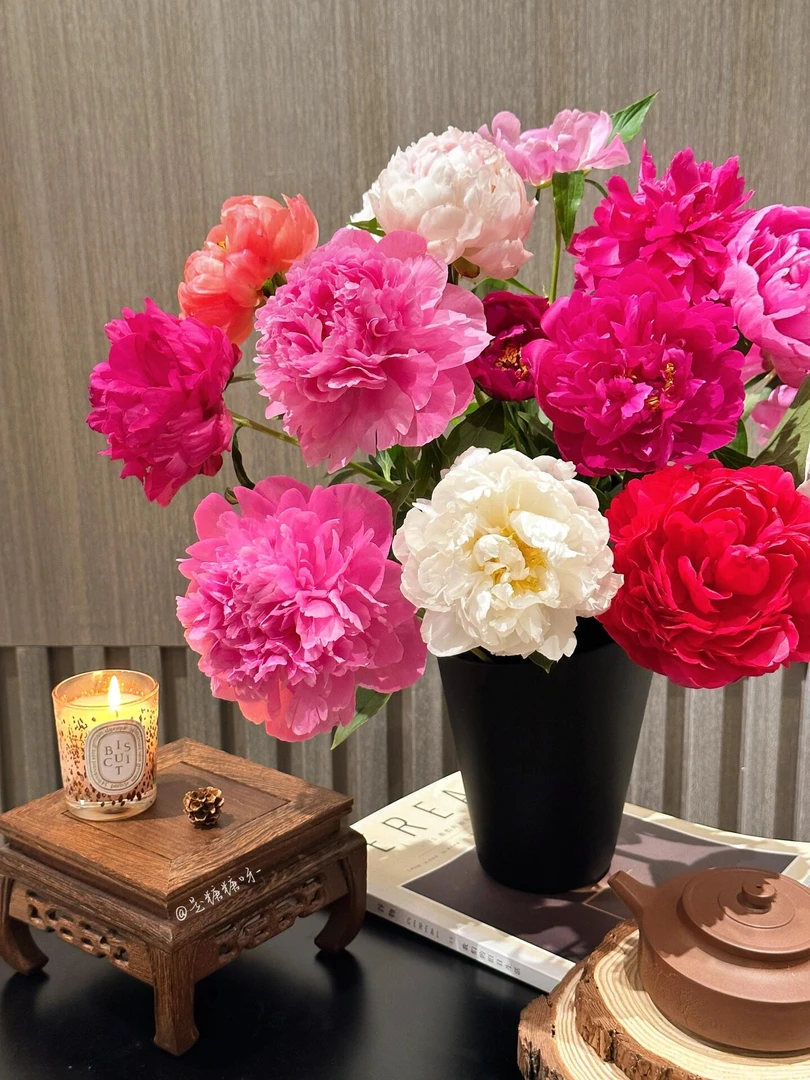 【耐寒花卉】芍药根快多年生花卉可盆栽地栽花卉种球