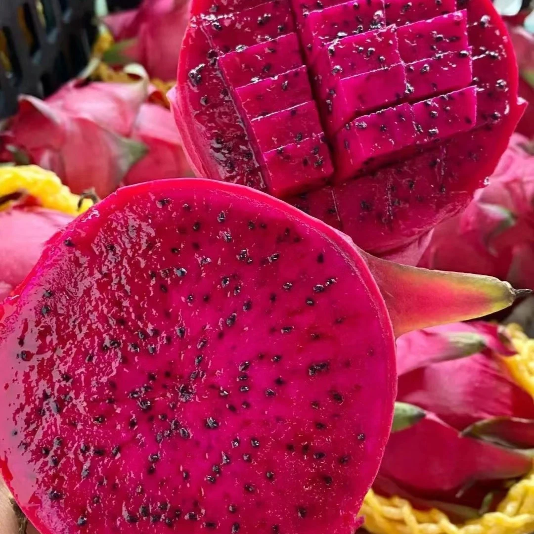 【粉丝福利】广西超甜红心大火龙果 花青素十足 5颗装