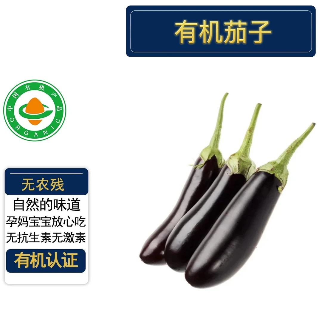 有机茄子/紫长茄5斤装 有机认证无农残 现摘现发天然健康美味辅食