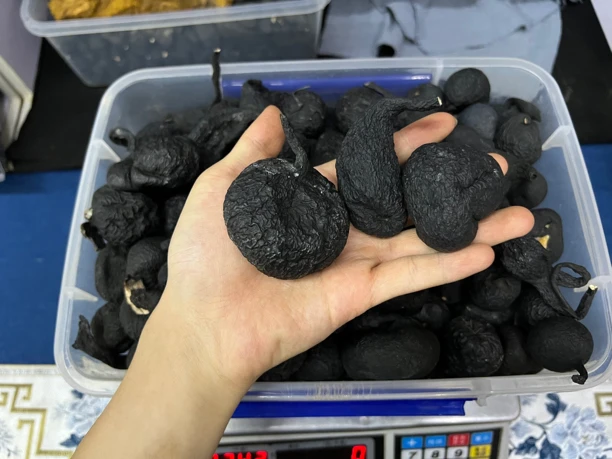 云南碳角菌  乌灵参 鸡纵胆 细花白心