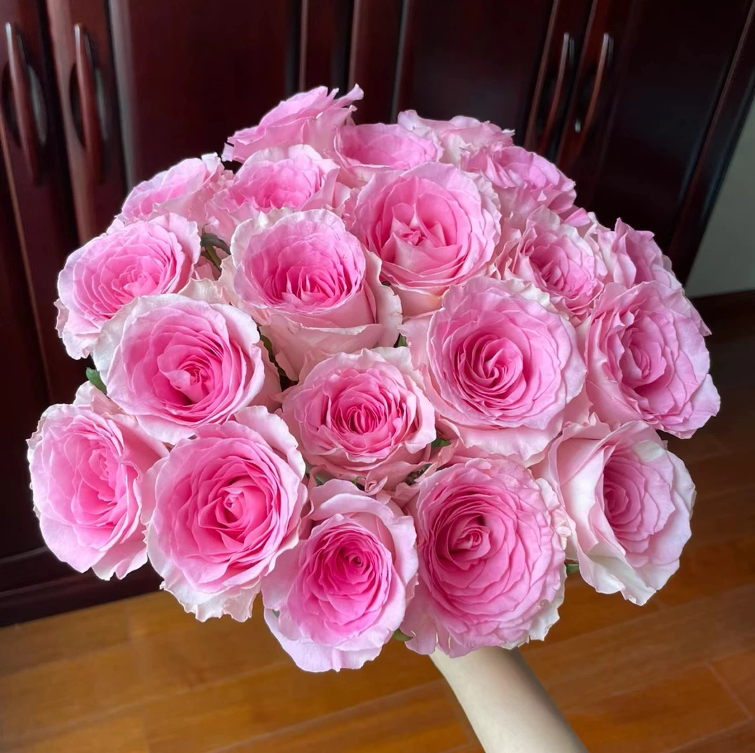 云南鲜花洛神玫瑰一单中通普通快递 两单及偶数单发顺丰冷链