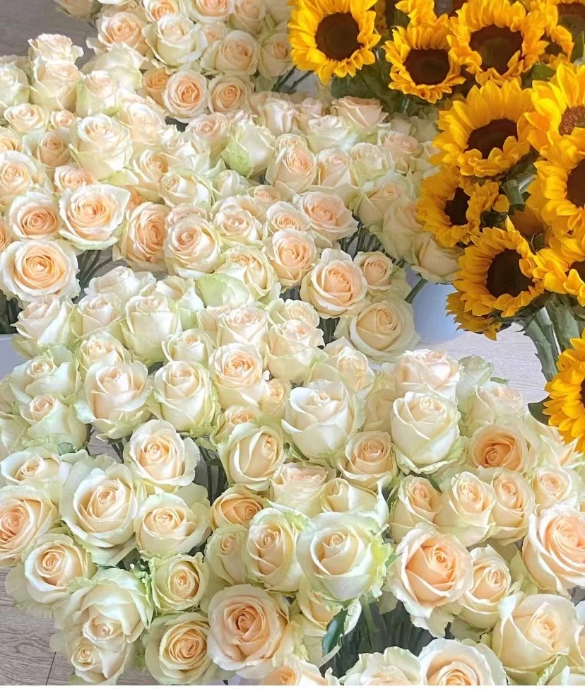 鲜花礼盒----新鲜优选鲜花---云南基地直发