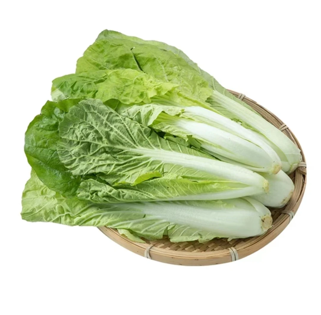 【蔬菜】小白菜一包 约300g