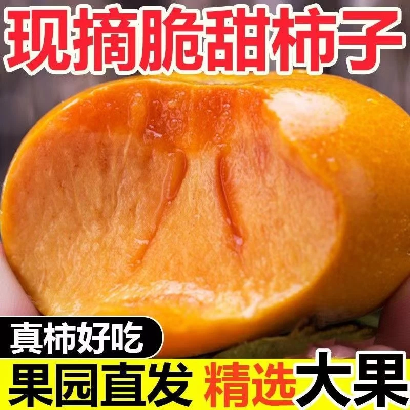 【恩施富硒冰糖心脆甜柿】24年新鲜采摘香甜多汁恩施富硒阳丰脆甜柿