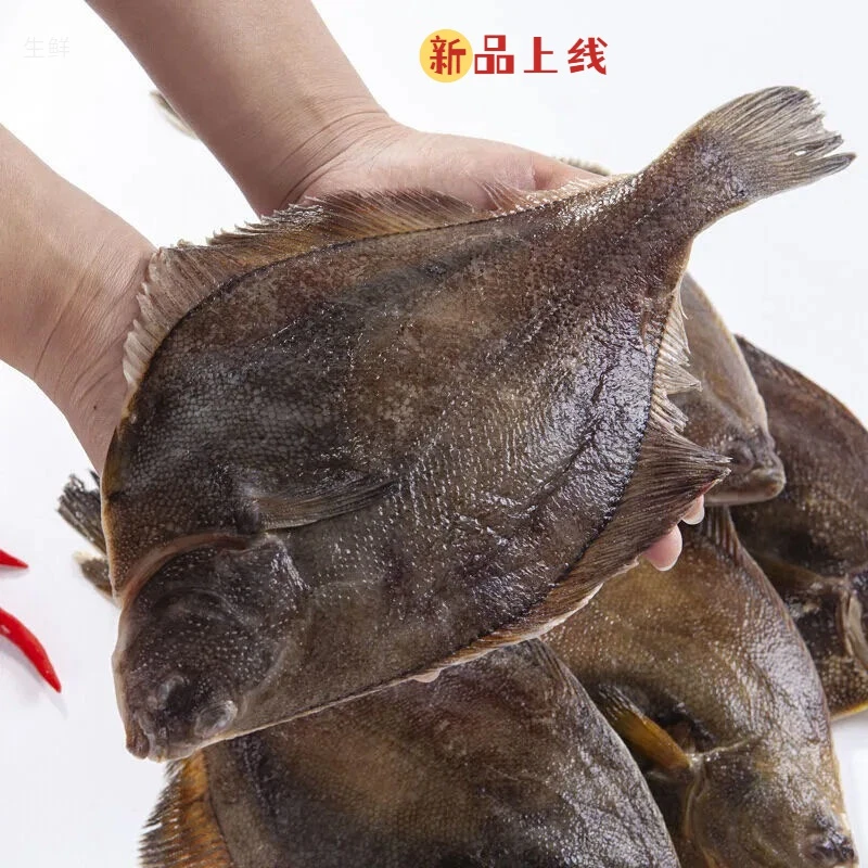 国庆好礼整条特大野生深海鲽鱼片比目鱼新鲜大扁口鱼雅片鱼正宗批
