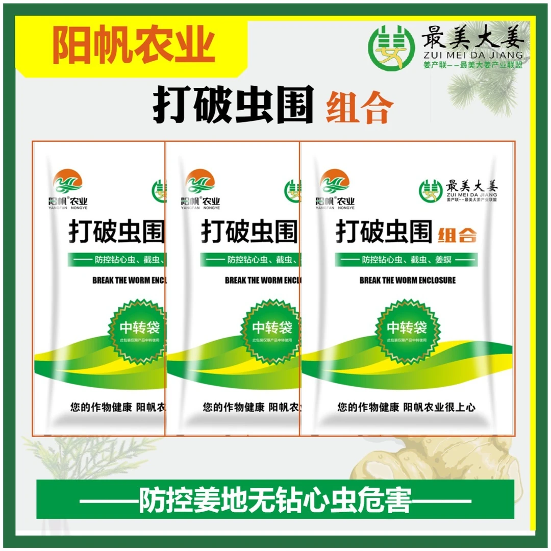 最美大姜打破重围组合防控姜地无钻心虫危害