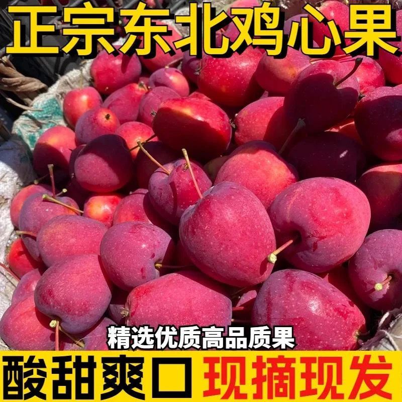 东北特产鸡心果自然成熟不打蜡不催熟 人工精选3/5斤 产地直发