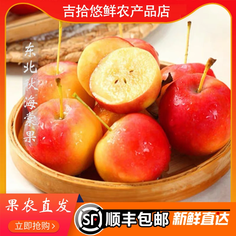 顺丰包邮东北秋海棠果 沙果 黄海棠红海棠  酸甜脆3斤5斤现摘现发