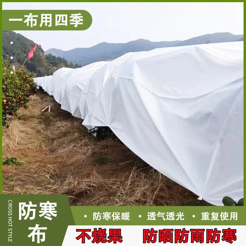 果树防寒布沃柑柑橘防雨樱桃脆子李防冻透气透光保温防霜布防雨布