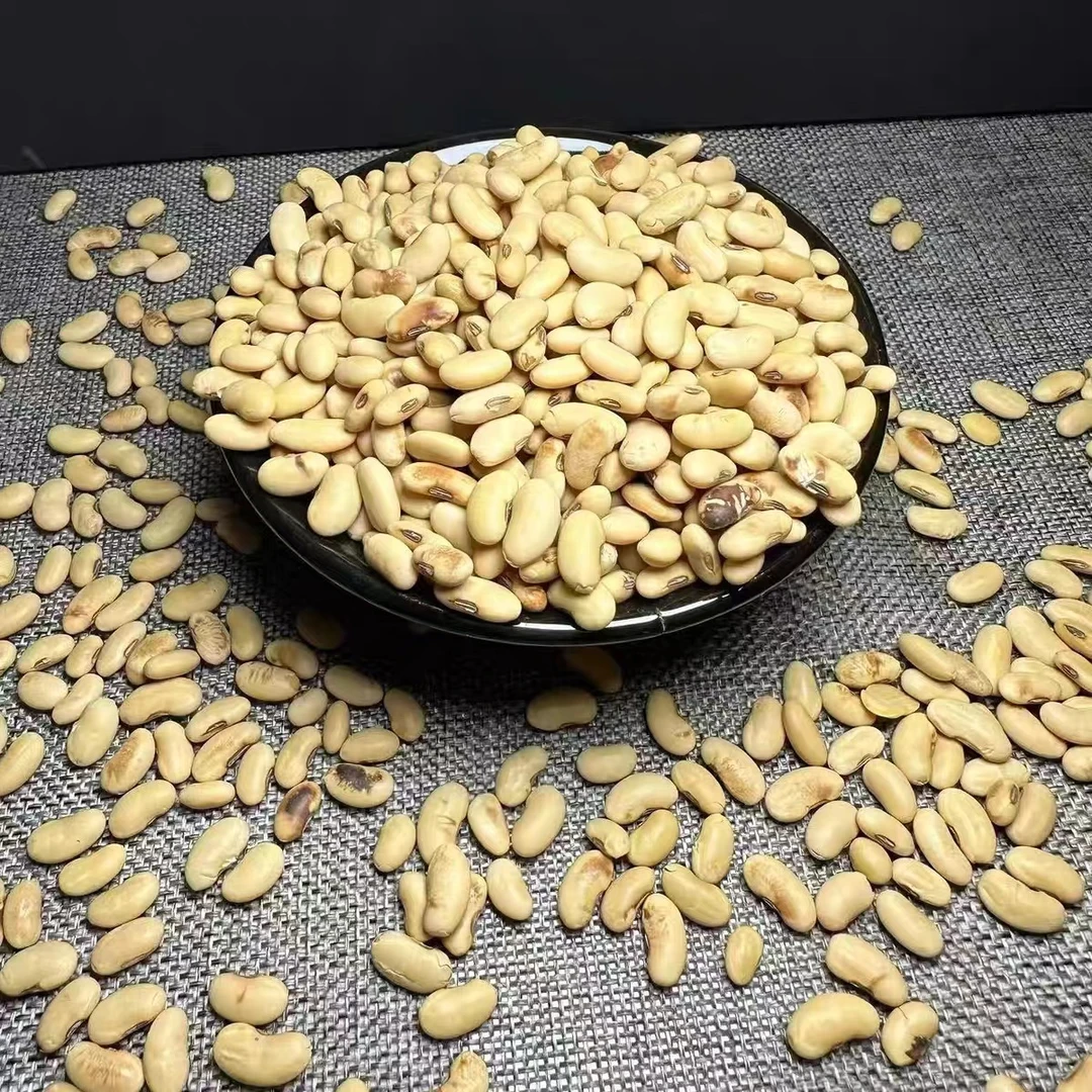 陕北山地黄豆 【凤小禾自家种植】老品种黄豆生豆芽打豆浆5斤包邮