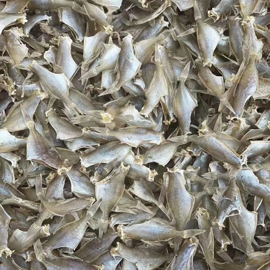 淡口洋仔鱼  500g   包邮