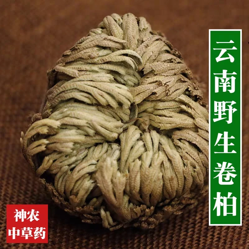 广西正品卷柏九死还魂草石上柏龙鳞草100克250克 500克包邮