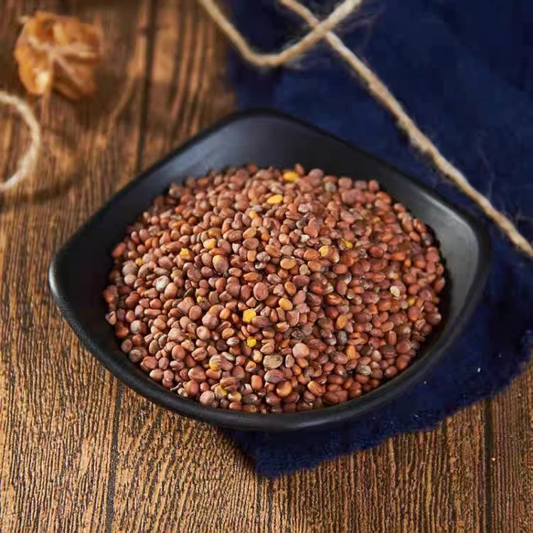 精选新货莱菔子 炒莱菔子 萝卜籽 白萝卜紫 莱菔籽 包邮