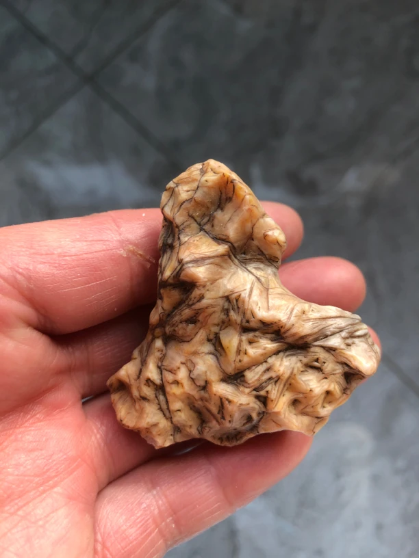 戈壁石筋脉石眼睛石手把件家居小摆件