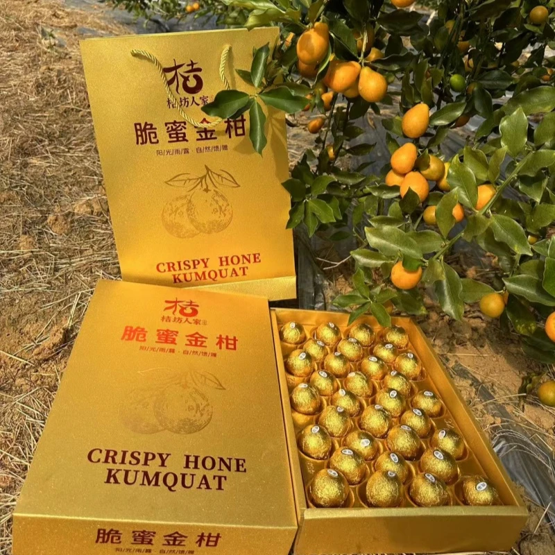 艾香莲融安脆蜜金柑巧克力礼盒装 广西脆蜜金桔纯甜 水果礼盒