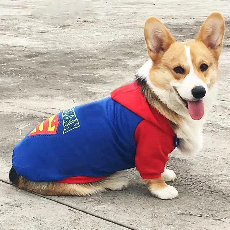 宠物衣服秋冬装大型犬拉布拉多金毛秋冬款大狗两腿卫衣