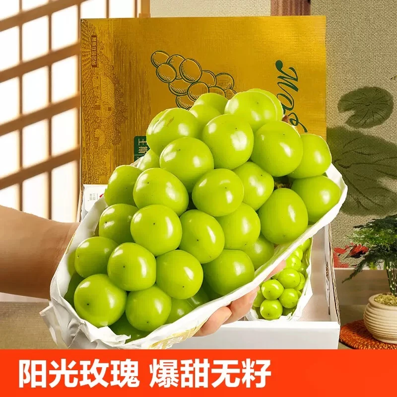幸福里葡萄园精品阳光玫瑰蔬菜葡萄现采现发晴王应季青提脆甜无