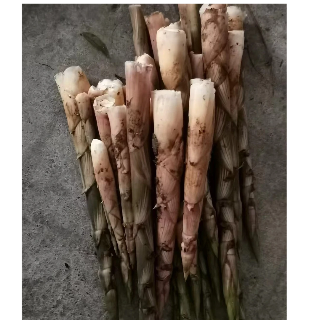 【晓媛助农】莲花本地农民自制小笋干干货现称农家食用农产品
