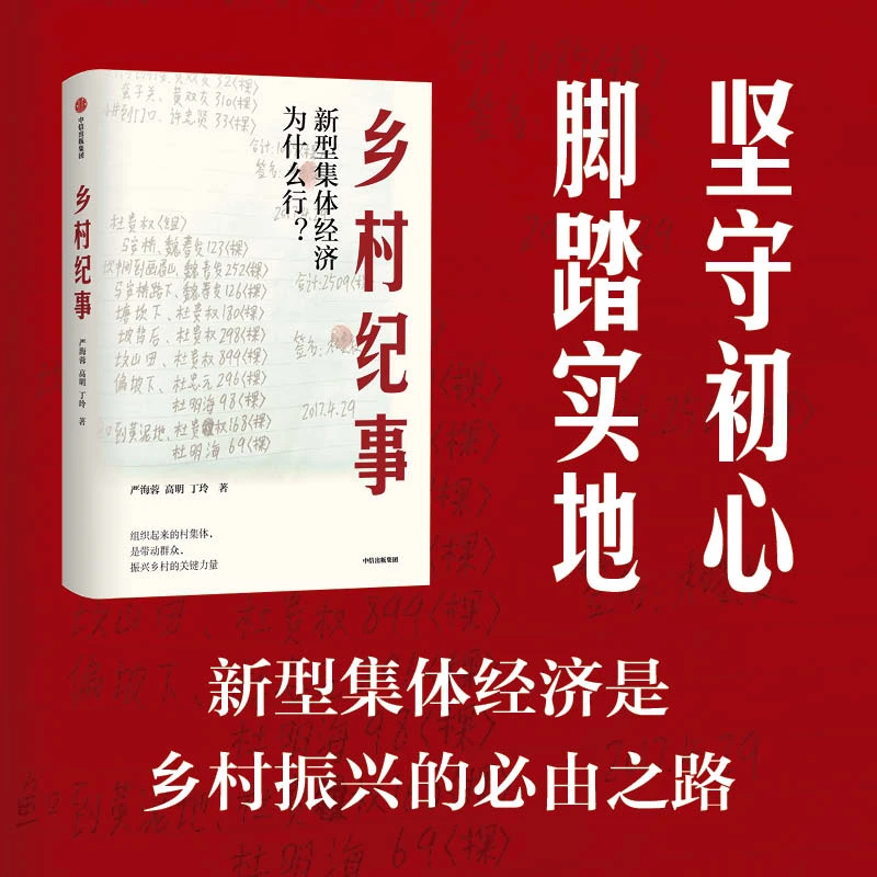 乡村纪事：新型集体经济为什么行中国农村 集体经济 乡村振兴 图书