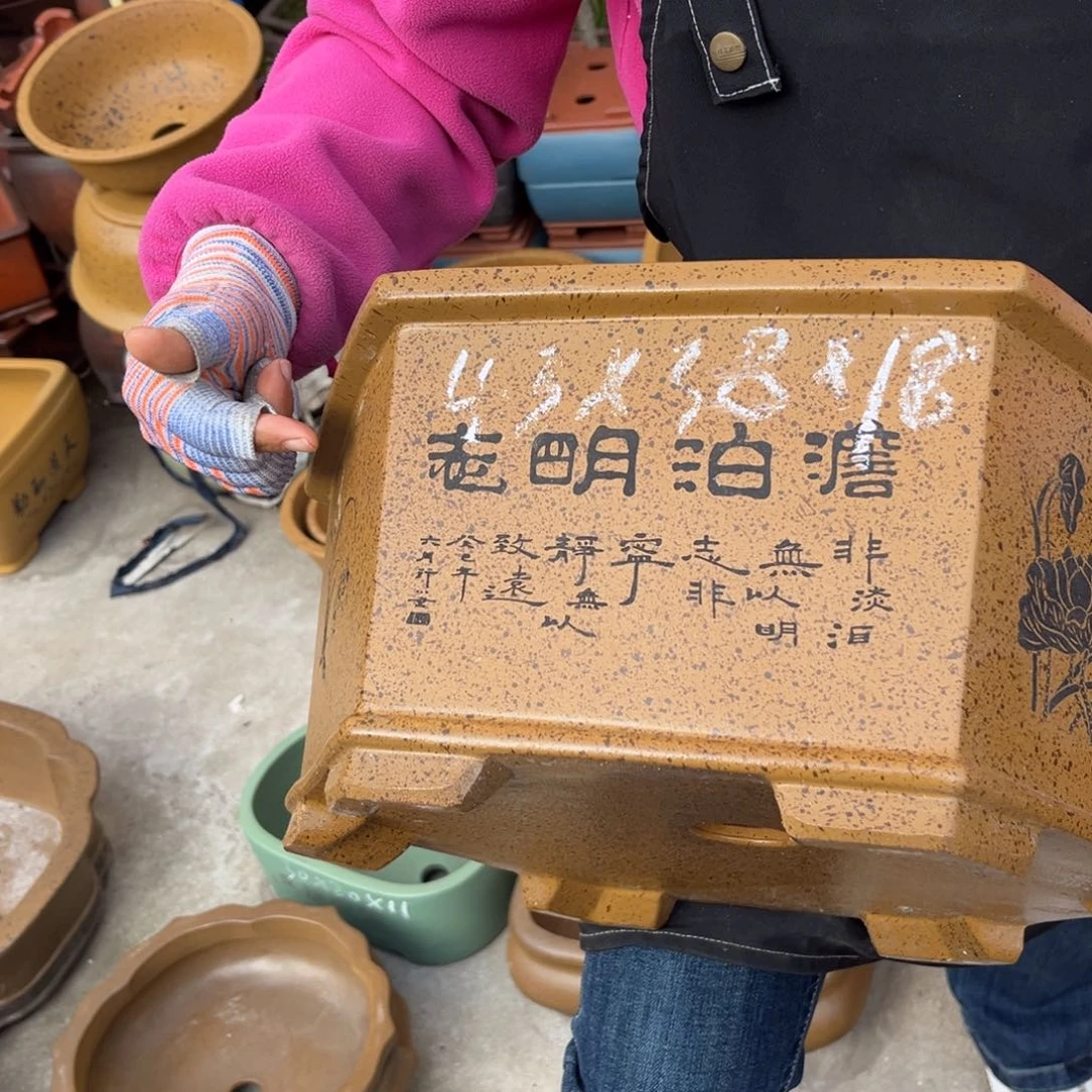 紫砂花盆盆景艺术