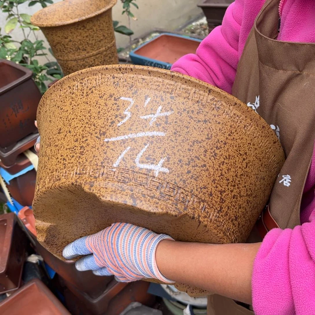 紫砂花盆盆景艺术