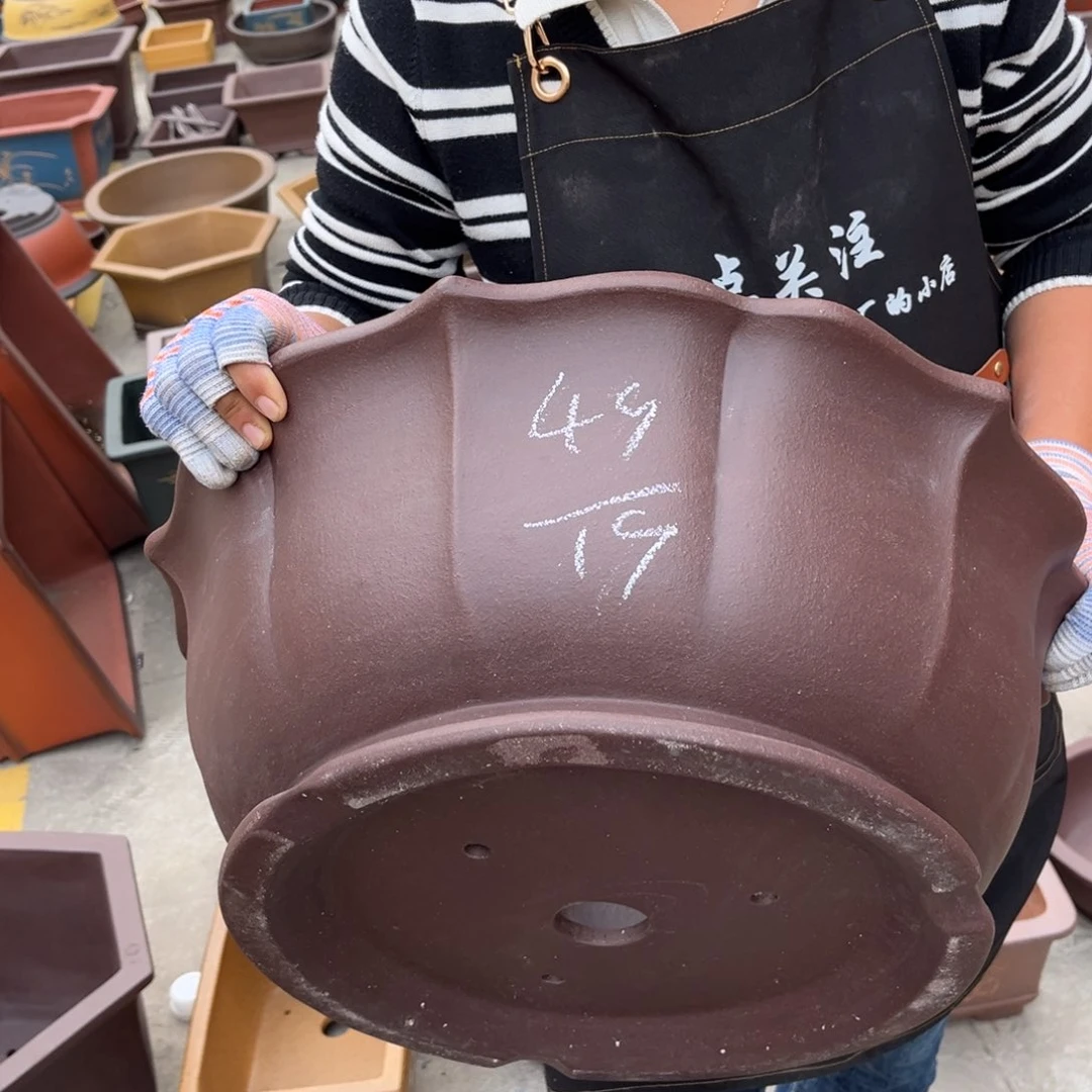 紫砂花盆盆景艺术