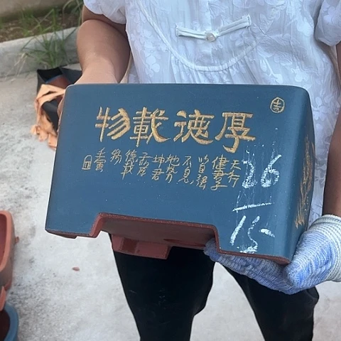 紫砂花盆盆景艺术