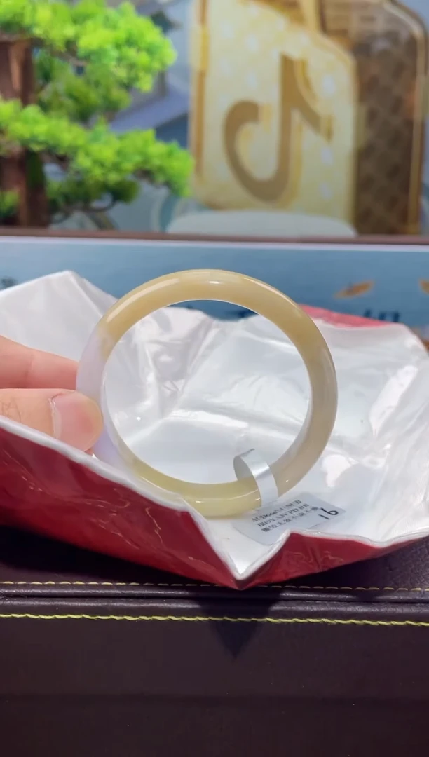 【闪购商品】翡翠手镯未镶嵌手镯24