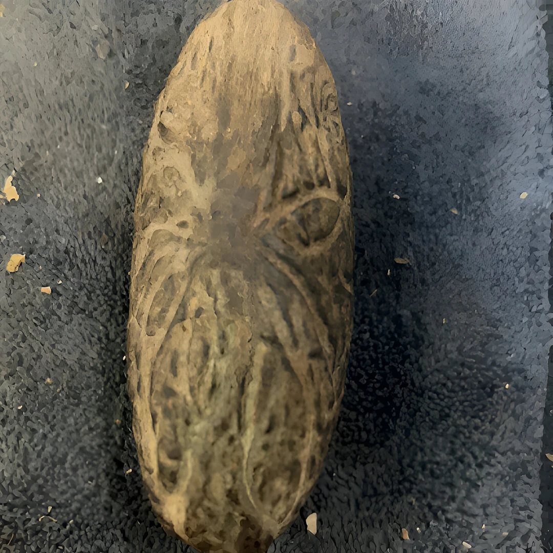 定制款天然千眼菩提果果