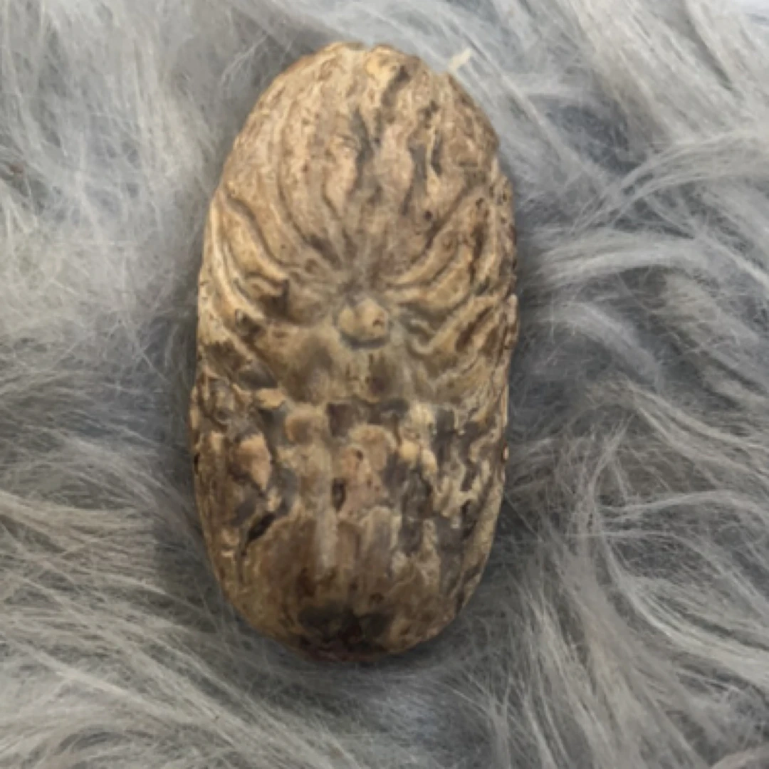 老树天然千眼手把件