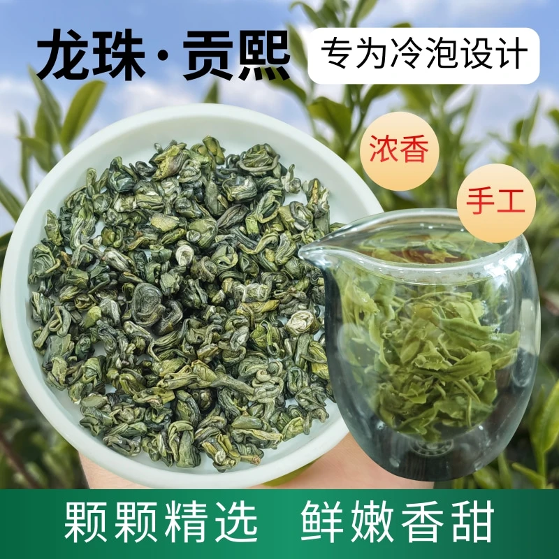贡熙绿茶冷泡2024新茶叶高山云雾茶嫩芽罐装春茶自己喝浓香手工