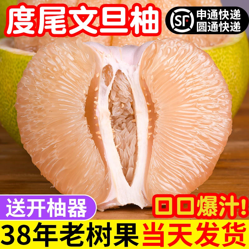 莆田仙游度尾文旦柚当季新鲜水果红心蜜柚子老树酸甜纯天然零污染