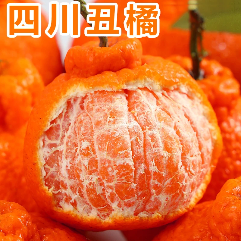 津果欢四川丑橘不知火丑八怪丑柑新鲜水果皮薄直播批发5-10斤采摘