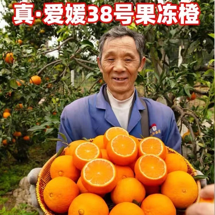 四川爱媛38号果冻橙橙子手剥甜橙网红水果带箱7-10斤新鲜现摘