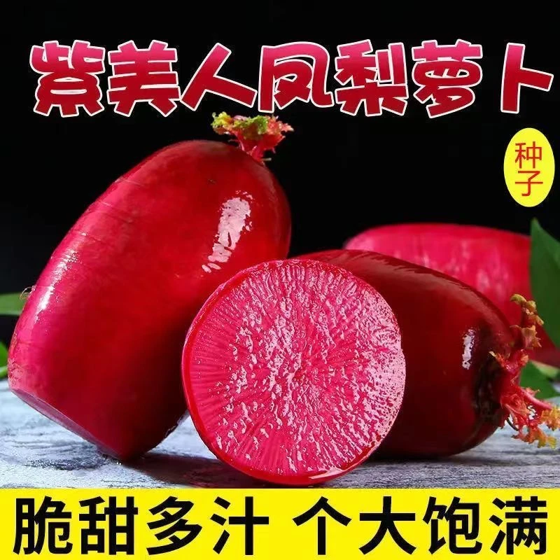 【凤梨萝卜种子】脆甜红皮红肉水果阳台花盆栽种青萝卜红萝卜种子