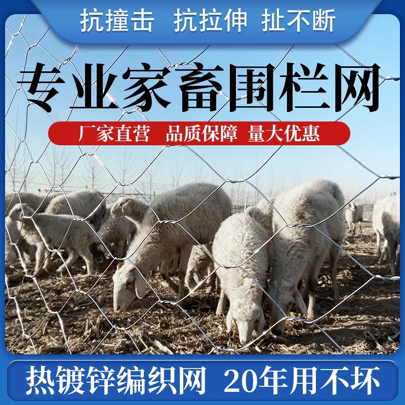 加粗圈牛羊围栏热镀锌铁丝网编织网圈地隔离防护网果园林地养殖网