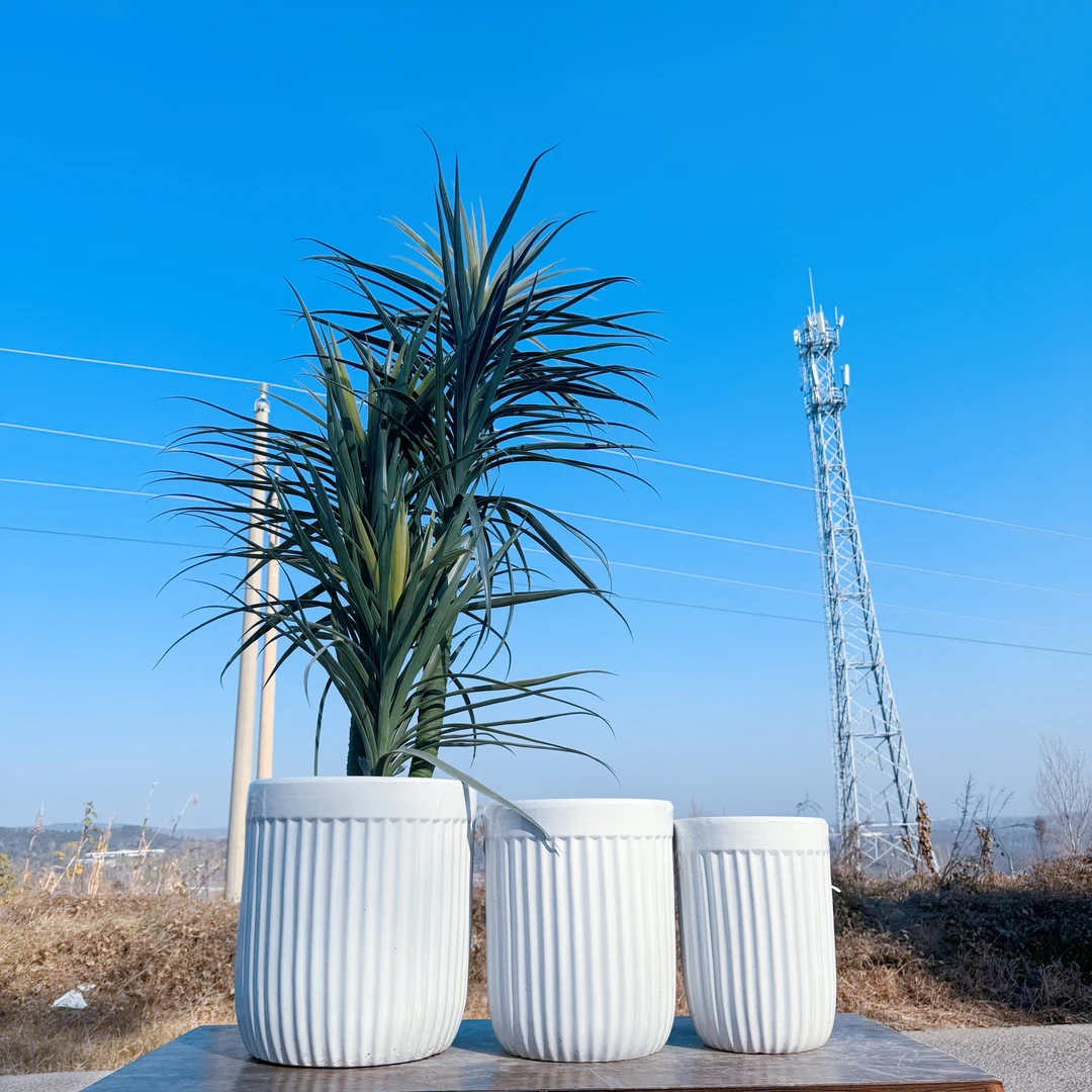 竖条条高温陶瓷落地大花盆百搭款幸福树千年木天堂鸟龙血树花盆