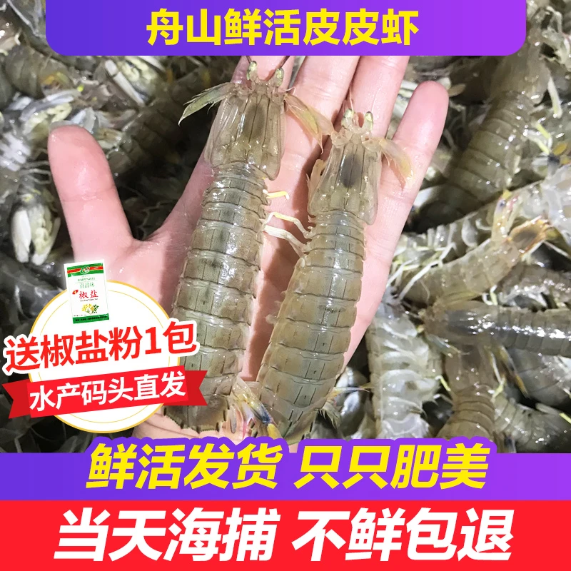 【保鲜不保活】优选舟山皮皮虾 虾姑 虾爬子  放木屑冲氧 顺丰发货
