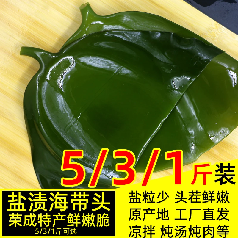 盐渍海带头5斤新鲜厚片荣成特产海白菜海带片丝火锅昆布半干货1斤