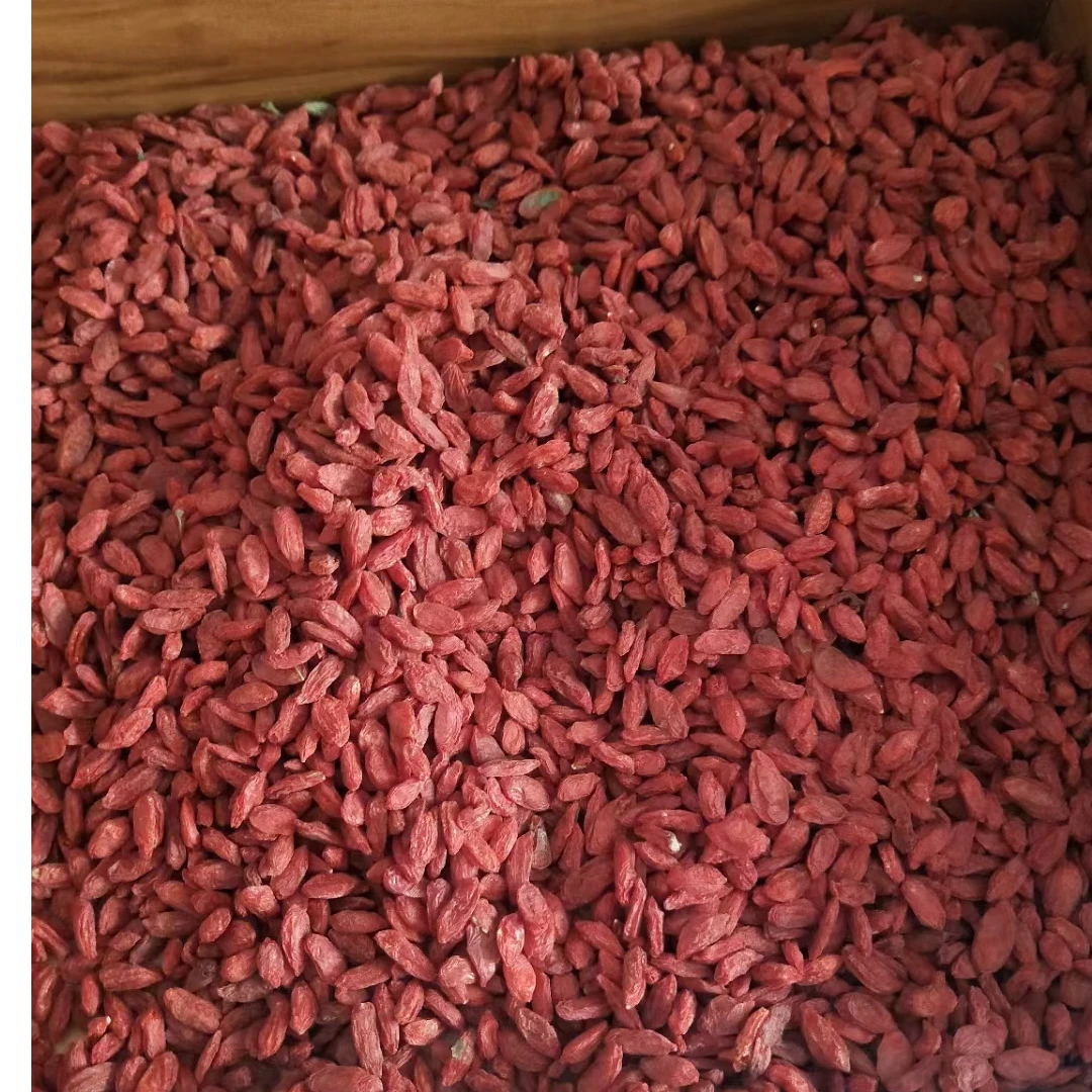 小果枸杞新疆和田沙漠鲜红枸杞1斤营养肉厚皮薄口感成熟