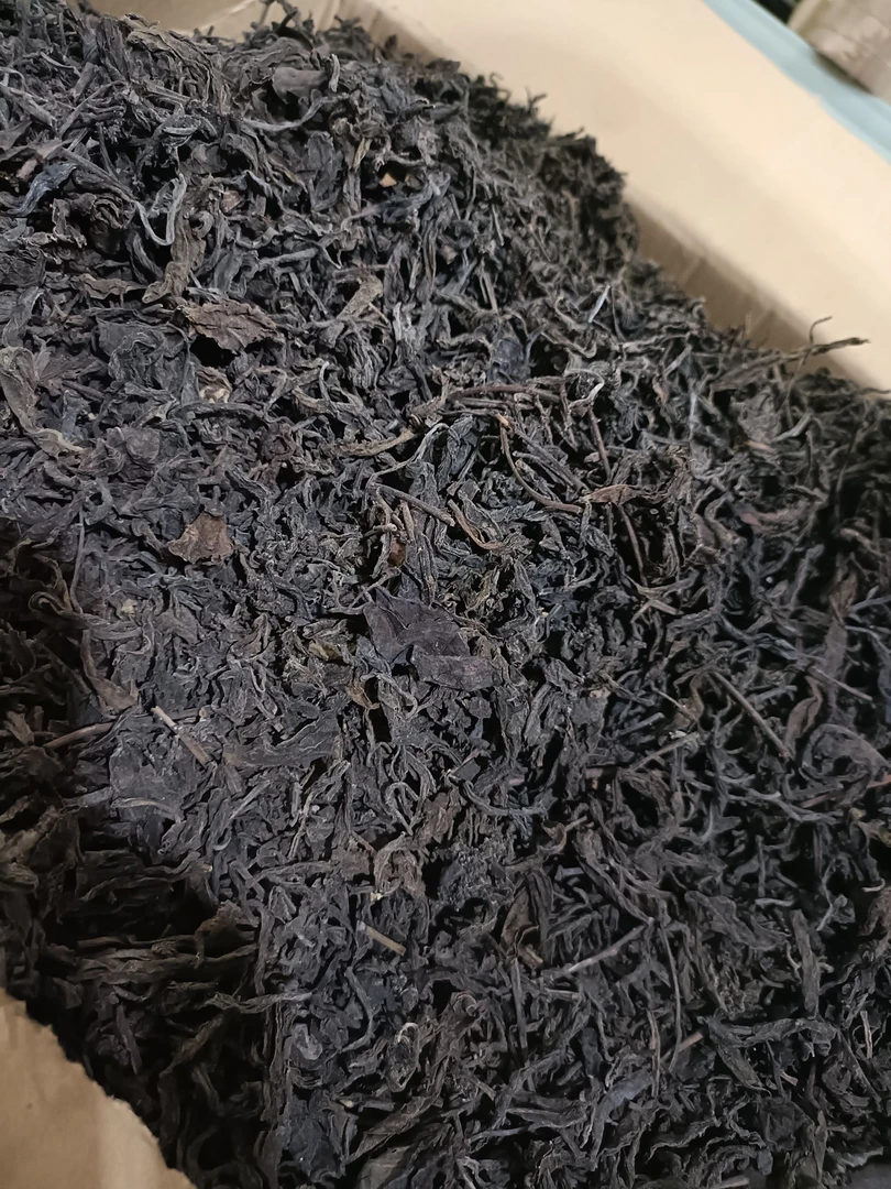 70年代散料普洱生茶