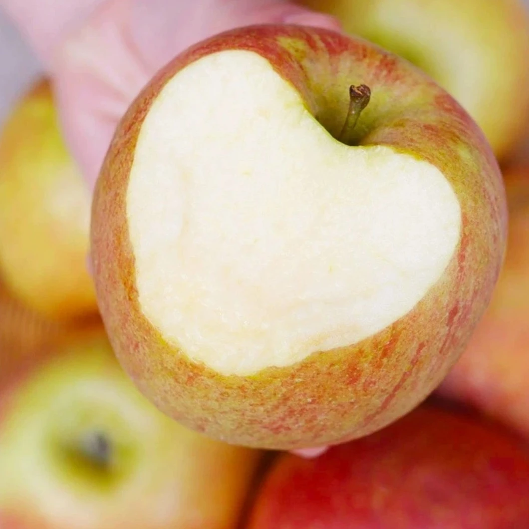 产地直发山西丑苹果新鲜红富士苹果脆甜多汁好吃自然爽口10斤