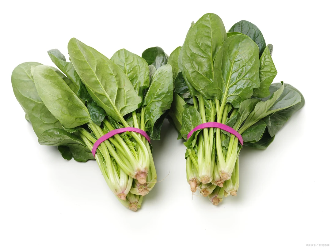 小美助农农家菠菜