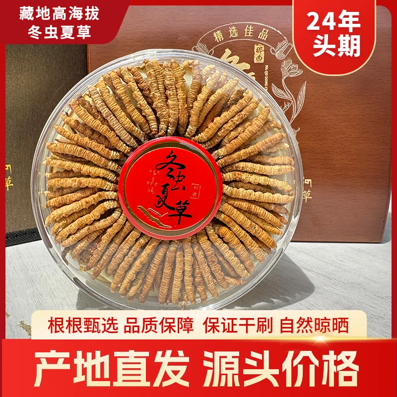 【S级甄选100根】那曲冬虫夏草保证正品雪域虫草送礼自吃必备20g