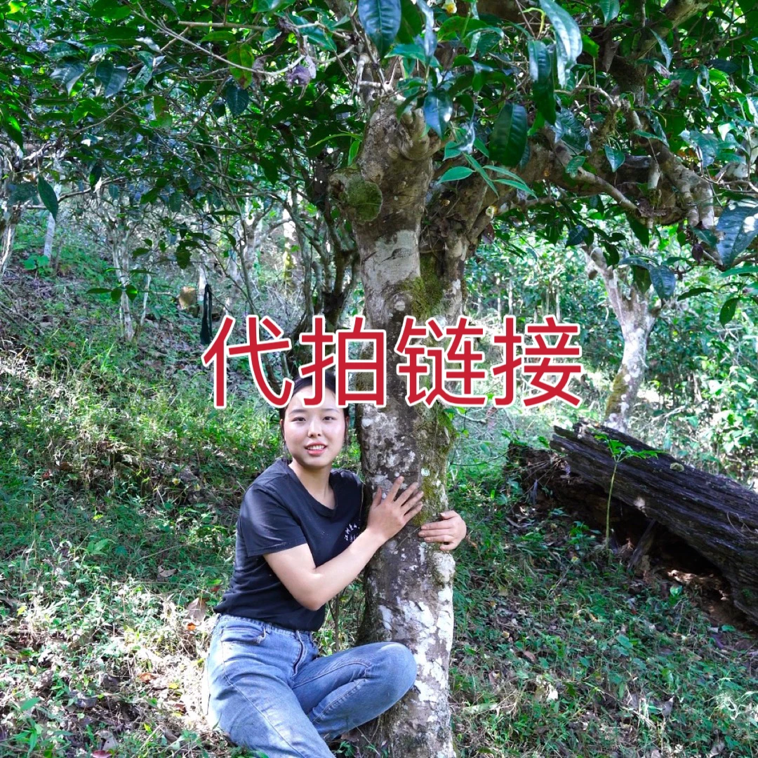 【江洲号】普洱茶代拍链接 临时链接 散茶