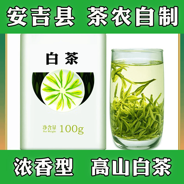 2024年新茶白茶原产地茶叶招牌茶罐装清新白茶绿茶春茶浓郁好茶