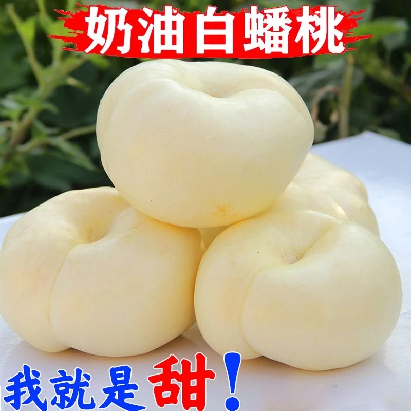 （明日～速达）奶油白蟠桃（顺丰）夏日尝鲜纯甜无酸香甜脆软两吃当季新鲜水果桃子山东省