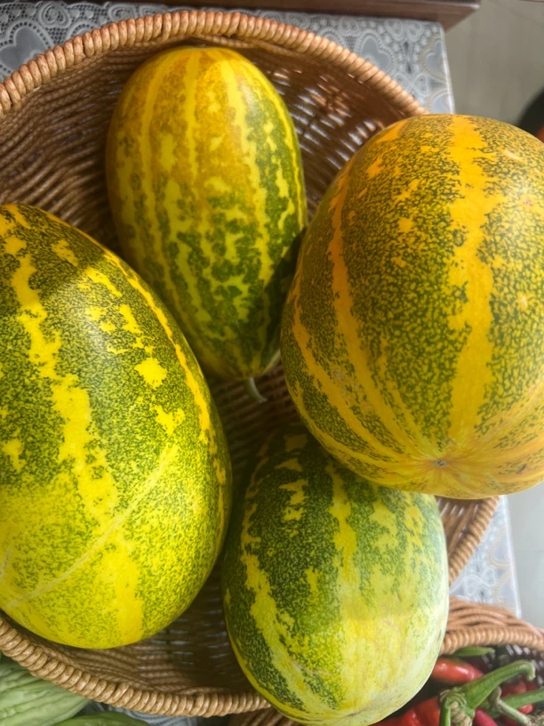 江西玉山农家米冬瓜