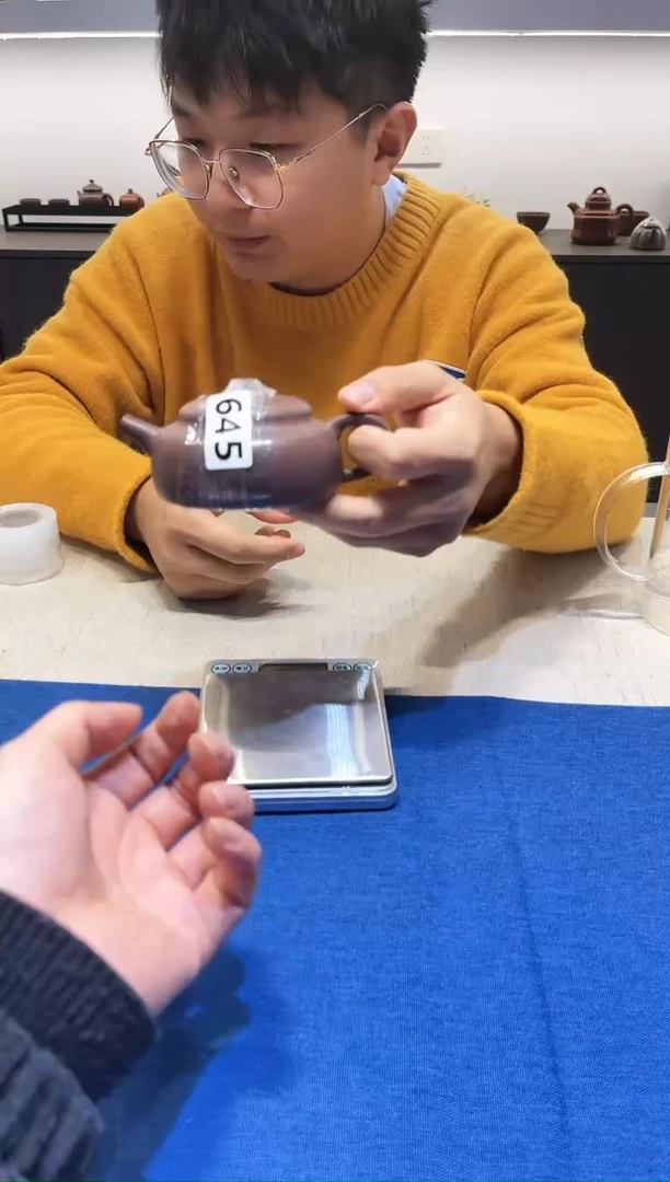 【闪购商品】紫砂茶壶645.