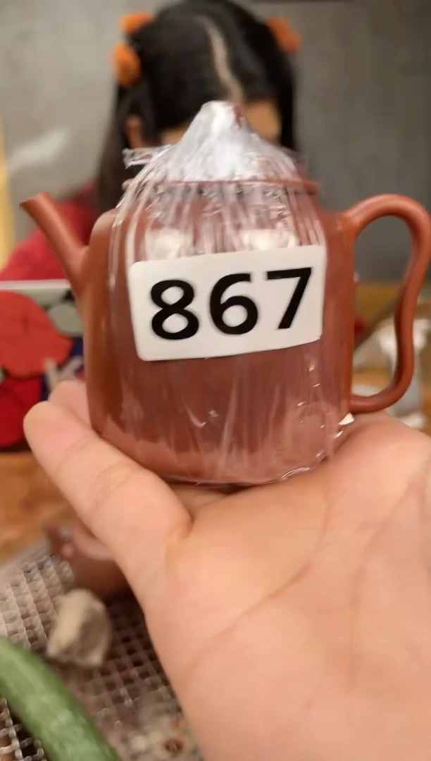 【闪购商品】紫砂茶壶867.